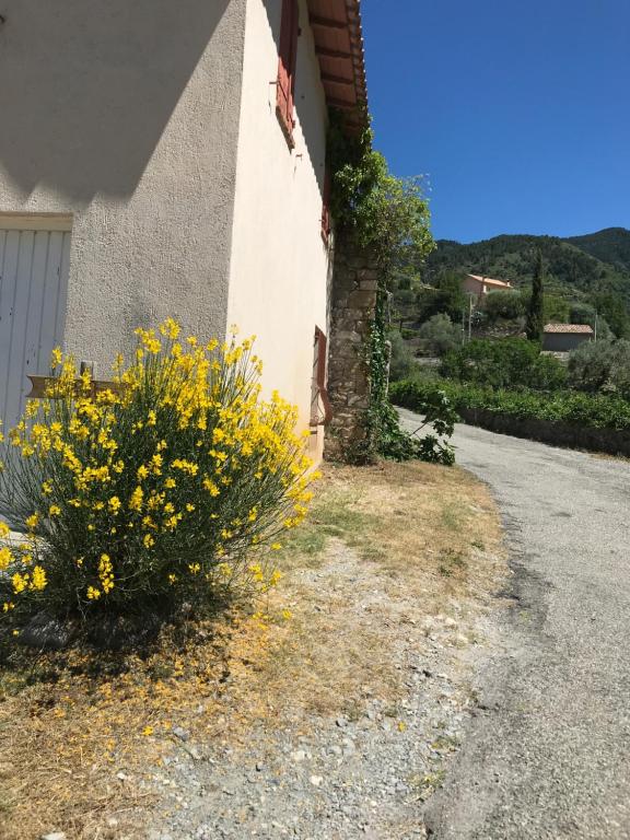 Séjour à la ferme La Ferme des Cailletiers chez Marco Route de la Madone Quartier Le Collet villa le Moulin, 06470 Lucéram