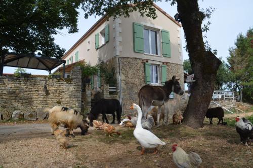 La Ferme Des Vergnes Gabillou france