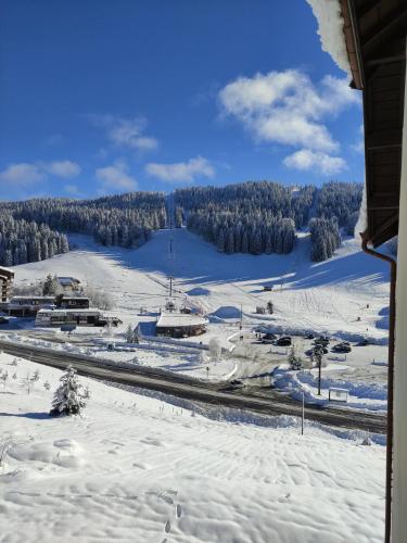 Appartement LA FERME DU LAC 749 Route du Lac Lamoura