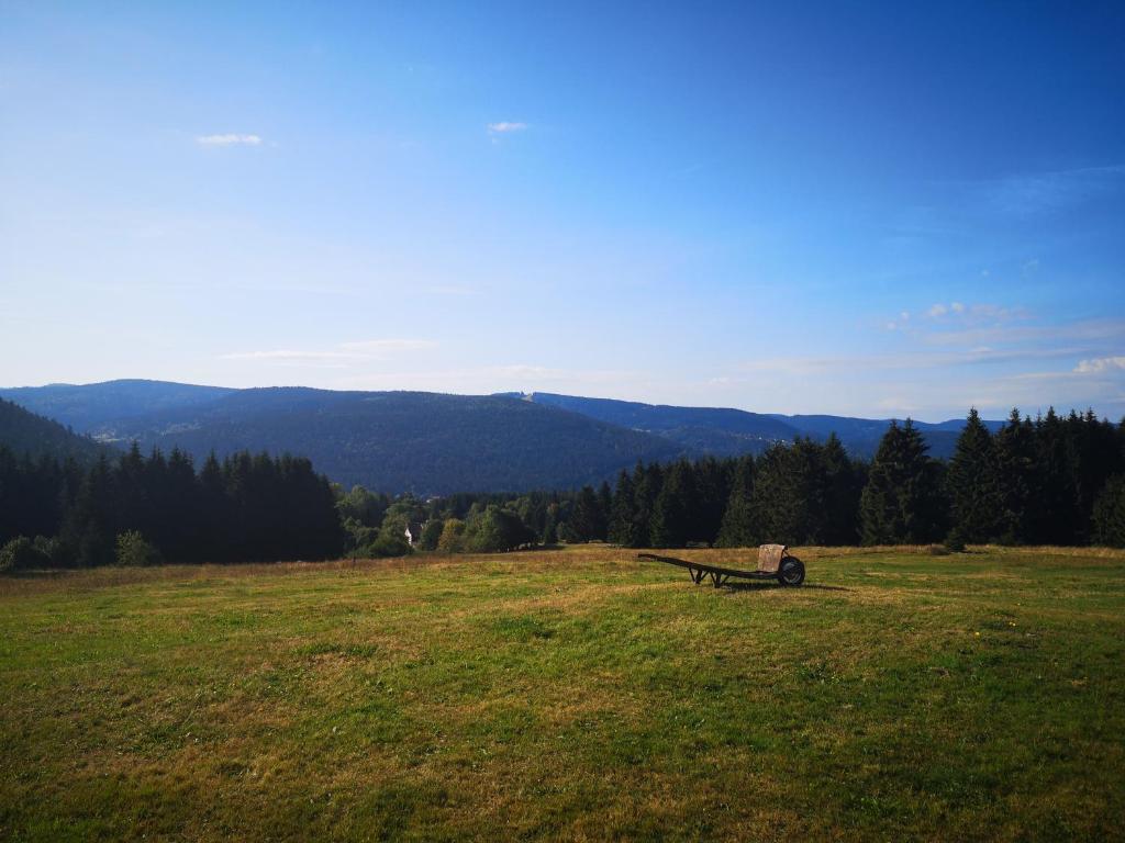 Maisons de vacances La Ferme Du Levant 21 Chemin de Nayemont, 88400 Gérardmer