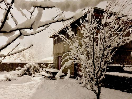 Chalets La Ferme Sainte Catherine 156 Route de Flerier Taninges