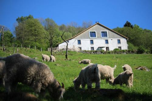 La Ferme sous les Hiez Cornimont france