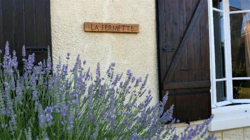 Maison d'hôtes La Fermette 4 Ruelles du Souterrain - Bribaudon Saint-Palais-de-Phiolin