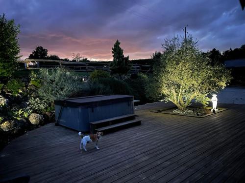 Appartement La Fontaine - Spa/Piscine - Luxe - Rêve au Mans Rue les Caves la Fontaine La Chartre-sur-le-Loir