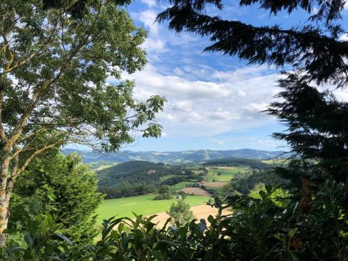 La forêt des hérissons Longessaigne france