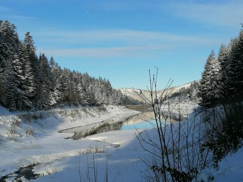 La Fortance Paradis Naturel - Proche de la ville Planfoy france