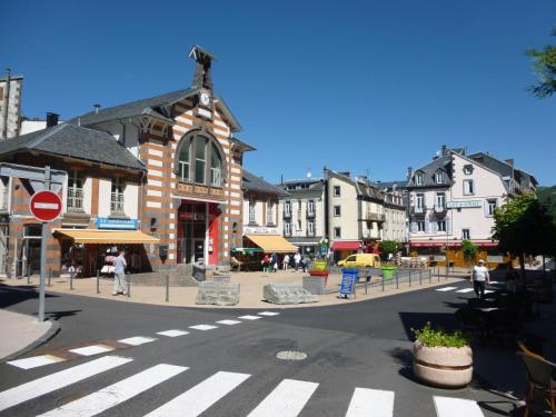 Appartement La Gentiane Résidence de la Paix - rue du Docteur Perpere Le Mont-Dore