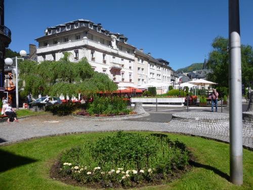 La Gentiane Le Mont-Dore france