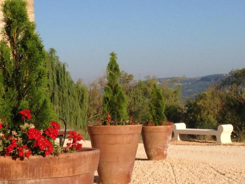 Maisons de vacances La Grande Bouisse La Grande Bouisse, Lieu dit les Frances Céreste