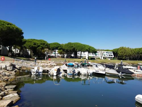 La Grande-Motte : Appartement avec belle vue La Grande Motte france