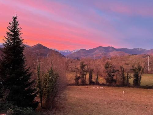 Maison de vacances La Grange des Pyrénées 34 Rue Ampère Lourdes