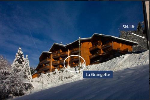 La Grangette - Morzine Morzine france