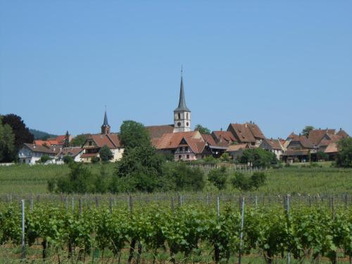 La Griffe à Foin au Restaurant raisin D'or Mittelbergheim france