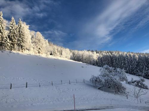 Maison de vacances La Guillemette lieu dit Les Combes