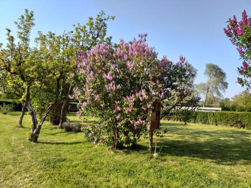 La Hulotte au Col Haut Audrehem france