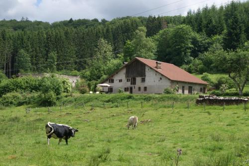 La Hutte Tendon france