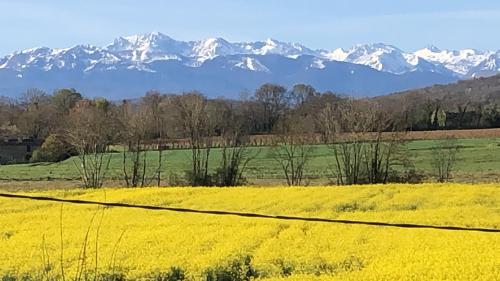 La Joie de Vivre Bonnefont france