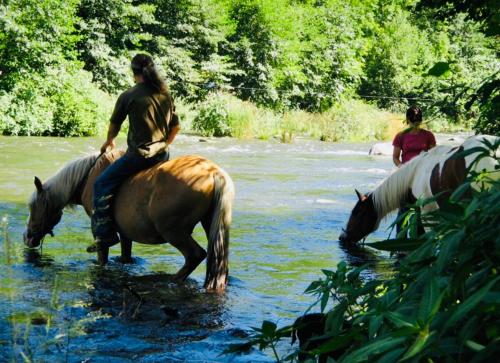 La Kabylie au coeur des 3 Vallées internet tout compris Tarascon-sur-Ariège france