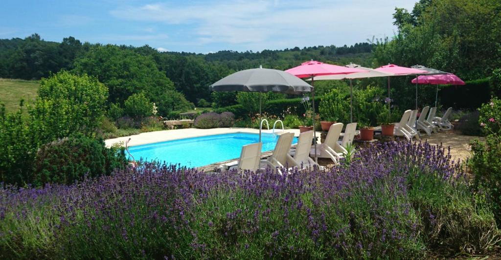 Maisons de vacances La Libellule and Le Papillon gites at Les Leroux, near Frayssinet-le-Gelat Les Leroux, 46250 Frayssinet-le-Gélat