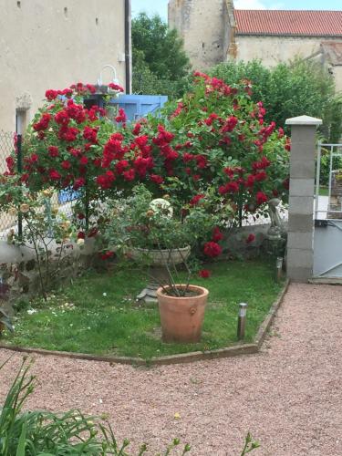 La Maison aux Hortensias Verneuil-en-Bourbonnais france