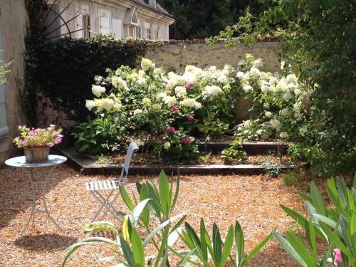 La Maison Céladon Prunay-Cassereau france