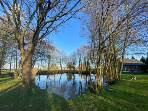 Maison de vacances La Maison de l'Etang Lieu dit Gratte Panche, chemin des godets Manerbe