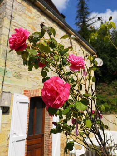 Appartement La maison de Zélia Le Bourg Boissières