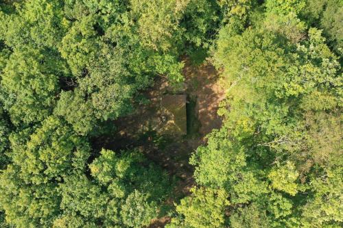 LA MAISON DES BOIS de VAUMONTEUIL Belhomert-Guéhouville france