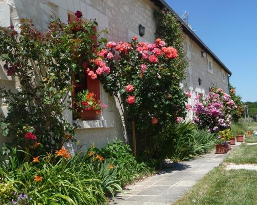 La maison des fleurs Saint-Senoch france