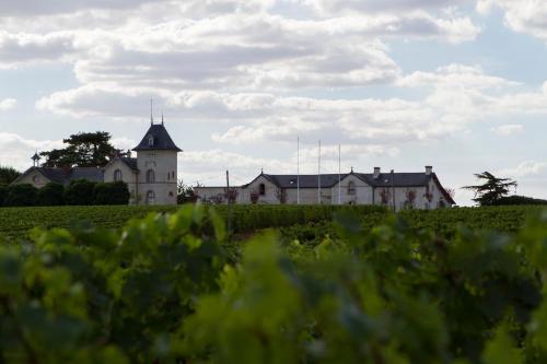 Maison de vacances La Maison des Vignes - Domaine de la Soucherie La Soucherie Beaulieu-sur-Layon