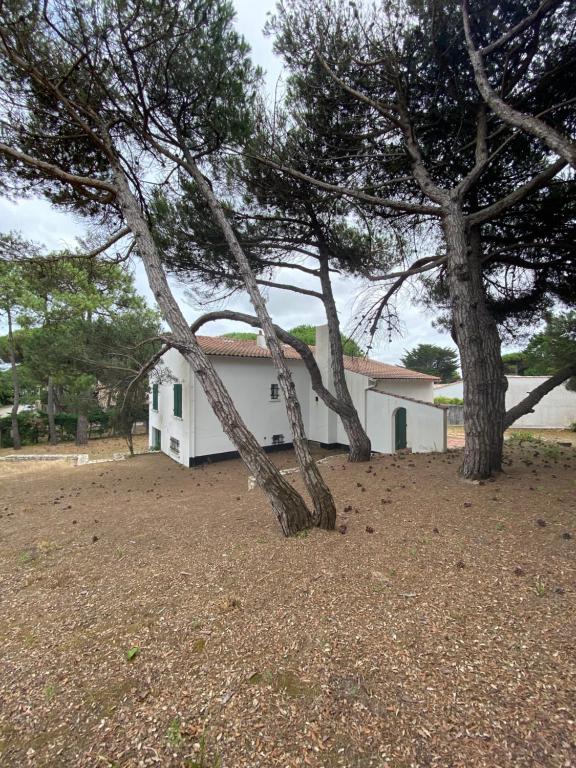 Maison de vacances La maison du couchant 3 Impasse du Couchant, 17580 Le Bois-Plage-en-Ré