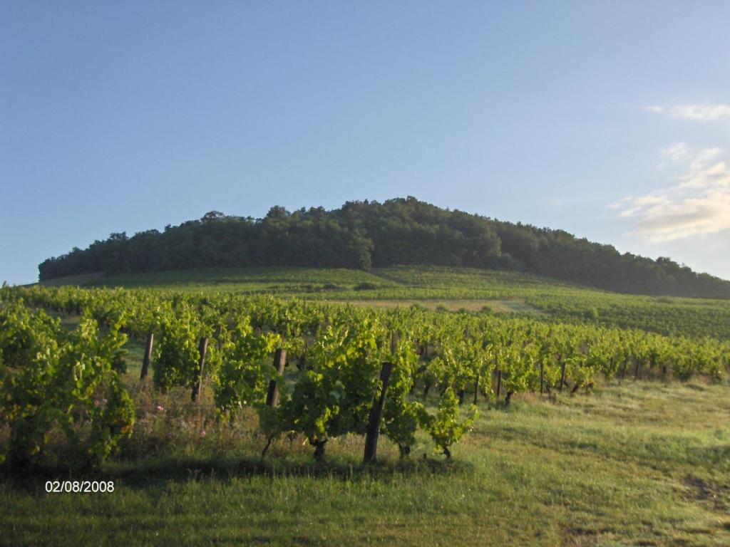 Maison de vacances La maison du vigneron Ronzières 1591 route de Ste Paule, 69620 Ternand