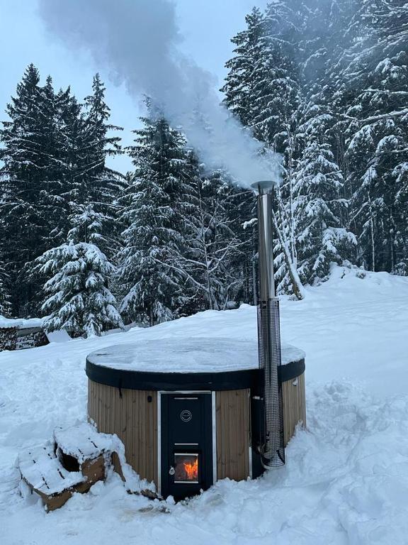 Appartement La Maison du Xetté 38 Chemin du Xetté, 88400 Gérardmer