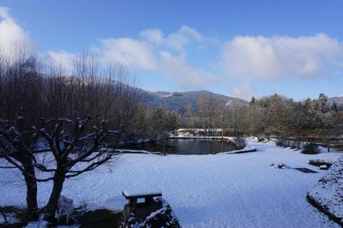 La maison et l'étang - grand terrain privé Vagney france