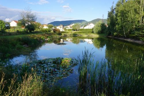 Maison de vacances La maison et l'étang - grand terrain privé 12 Rue Jean Moulin Vagney