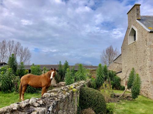 B&B / Chambre d'hôtes La Maison Gervaiserie 7 Route du Martinet Réville