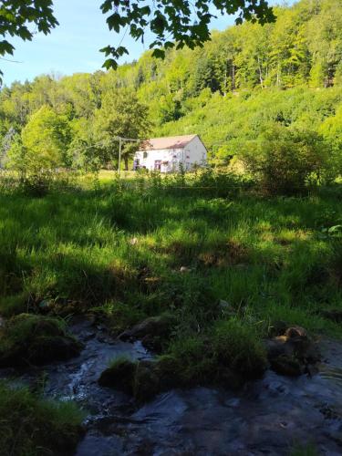 B&B / Chambre d'hôtes La mansarde aux digitales 3 Le Chipal La Croix-aux-Mines