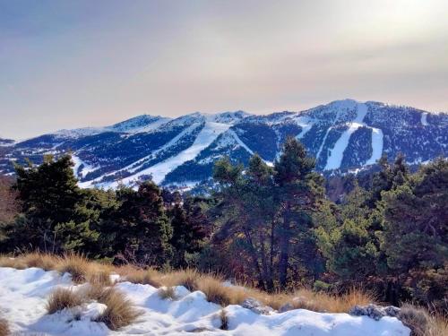 La marmotte enchantée - Gréolières les Neiges Gréolières france