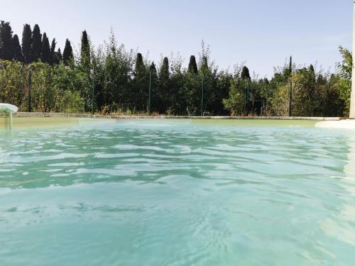 La Mésange et le Pissenlit Plan-dʼOrgon france