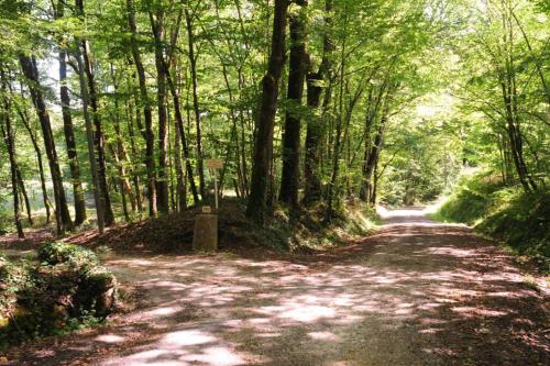 La Métairie près de Bordeaux Haux france