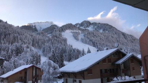 Appartement La montagne « un coin d’oxygène » 84 Route de Pré la Joux Châtel