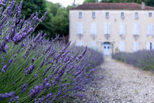 La Mouline Labastide-du-Vert france