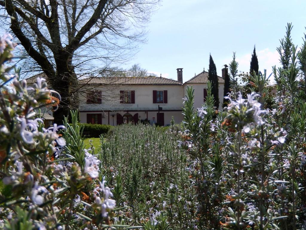 B&B / Chambre d'hôtes La Palombiere 54 Le Bourg, 33840 Lucmau