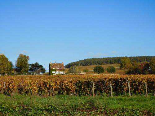 B&B / Chambre d'hôtes La Passerelle des Corton B&B 12 rue des Corton Aloxe-Corton