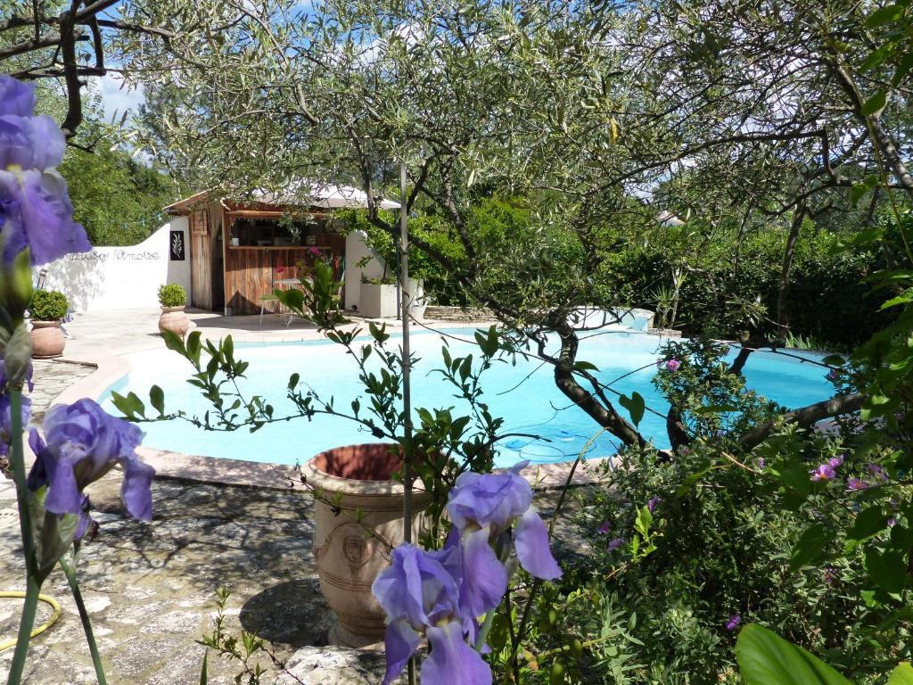 Maison d'hôtes la pause nimoise 99 Impasse du Galoubet, 30000 Nîmes