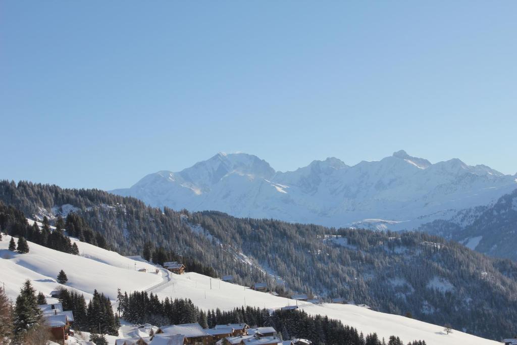 Appartement La Perle Des Alpes C2 Résidence La Perle Des Alpes Bisanne 1500 (Les Saisies), 73270 Villard-sur-Doron