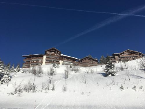 La Perle Des Alpes C2 Villard-sur-Doron france