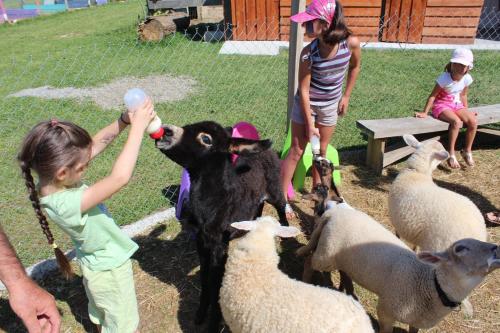 La petite ferme de Pouillon Pouillon france