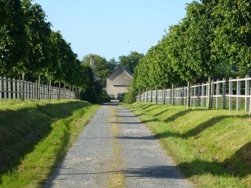 Séjour à la ferme La Petite Maison Haras des Maisons Rouges (Bricqueville) Bricqueville