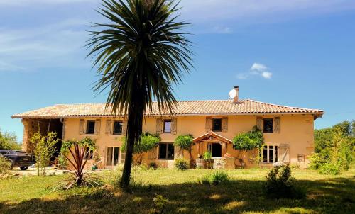 La Première Vigne Puycelci france